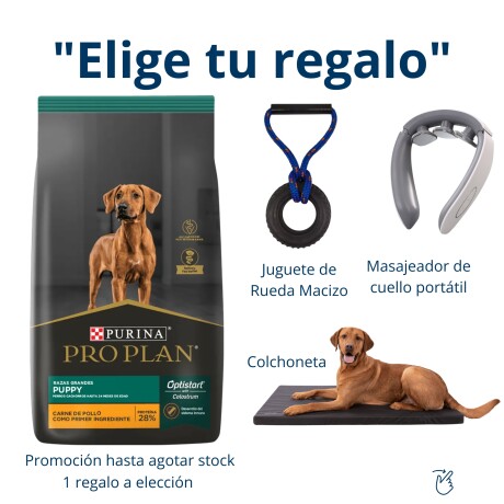 PRO PLAN CACHORRO GRANDE 15KG Pro Plan Cachorro Grande 15kg