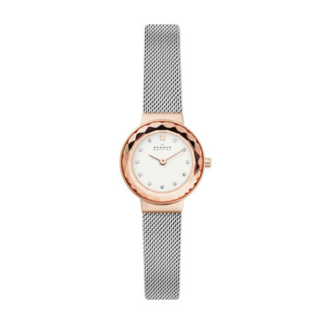 Reloj Skagen C/Collar Fashion Acero Plata 0