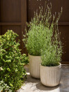Maceta de jardin BRILLEAND Ø37xH37 natural Maceta de jardin BRILLEAND Ø37xH37 natural