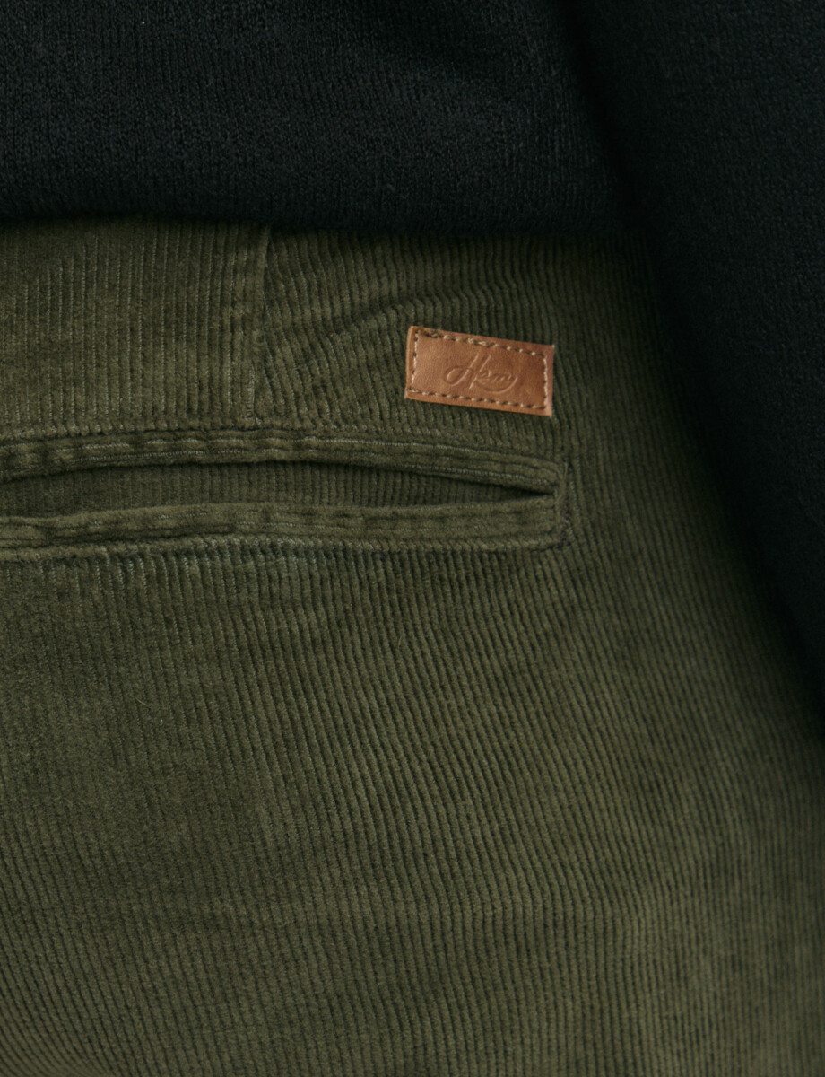 080300 PANTALON HARRY Verde