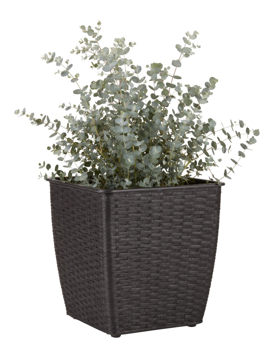 Maceta ISLOM 31x31x32 variado 