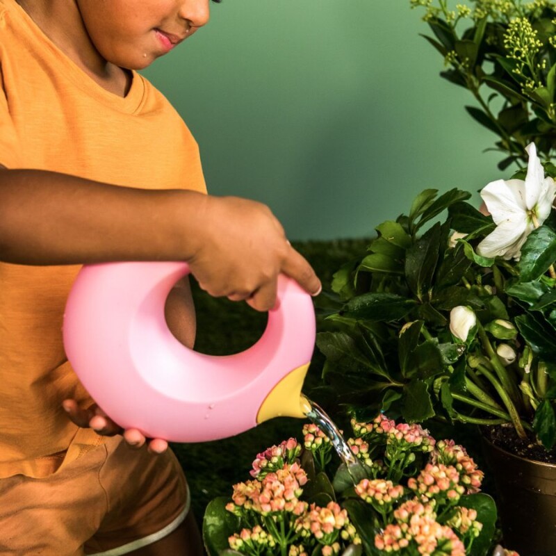 Regadera circular duo 500 ml Banana Pink