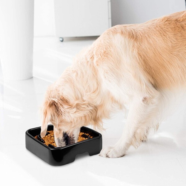 Plato Comedero Come Lento Perros Gatos Mascotas Plastico Color Variante Azul