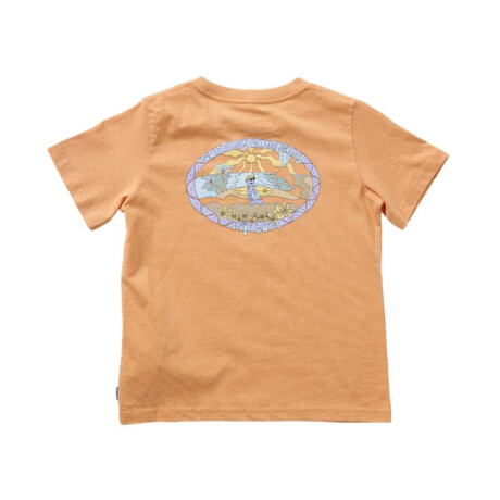 Remera Rip Curl Tube Town Scenic Niño Naranja
