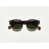 Moscot Lemtosh Tortoise