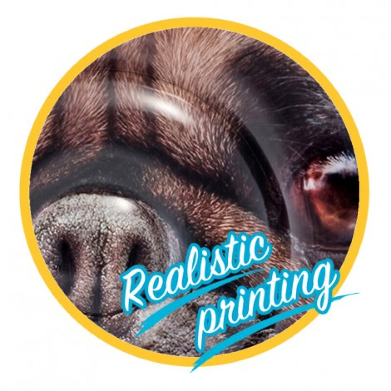 INTEX ISLA FLOTANTE CARA DE CACHORRO IMPRESIÓN REALISTICA 173 X 135 CMS Intex Isla Flotante Cara De Cachorro Impresión Realistica 173 X 135 Cms