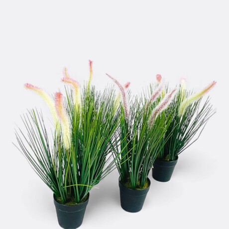 Planta Con Maceta Setaria Modelo 1