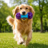 Juguete Morder Perros Gatos Limpieza Dental Golosinas Premio Color Celeste Violeta