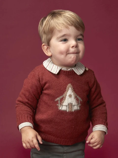 Jersey Con Intarsia Delante Teja