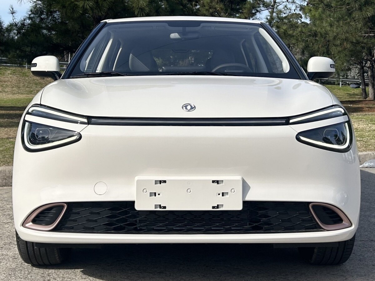 Dongfeng Nammi 330 Eléctrico Extra Full 2026 0KM Dongfeng Nammi 330 Eléctrico Extra Full 2026 0KM