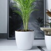 Macetero Premium N27 Blanco 23cm Alto x 27 Diam Boca, 9,5 lts Macetero Premium N27 Blanco 23cm Alto x 27 Diam Boca, 9,5 lts