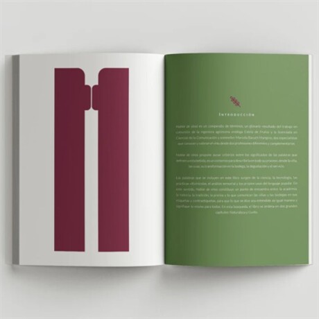 Libro Hablar de vinos Sc