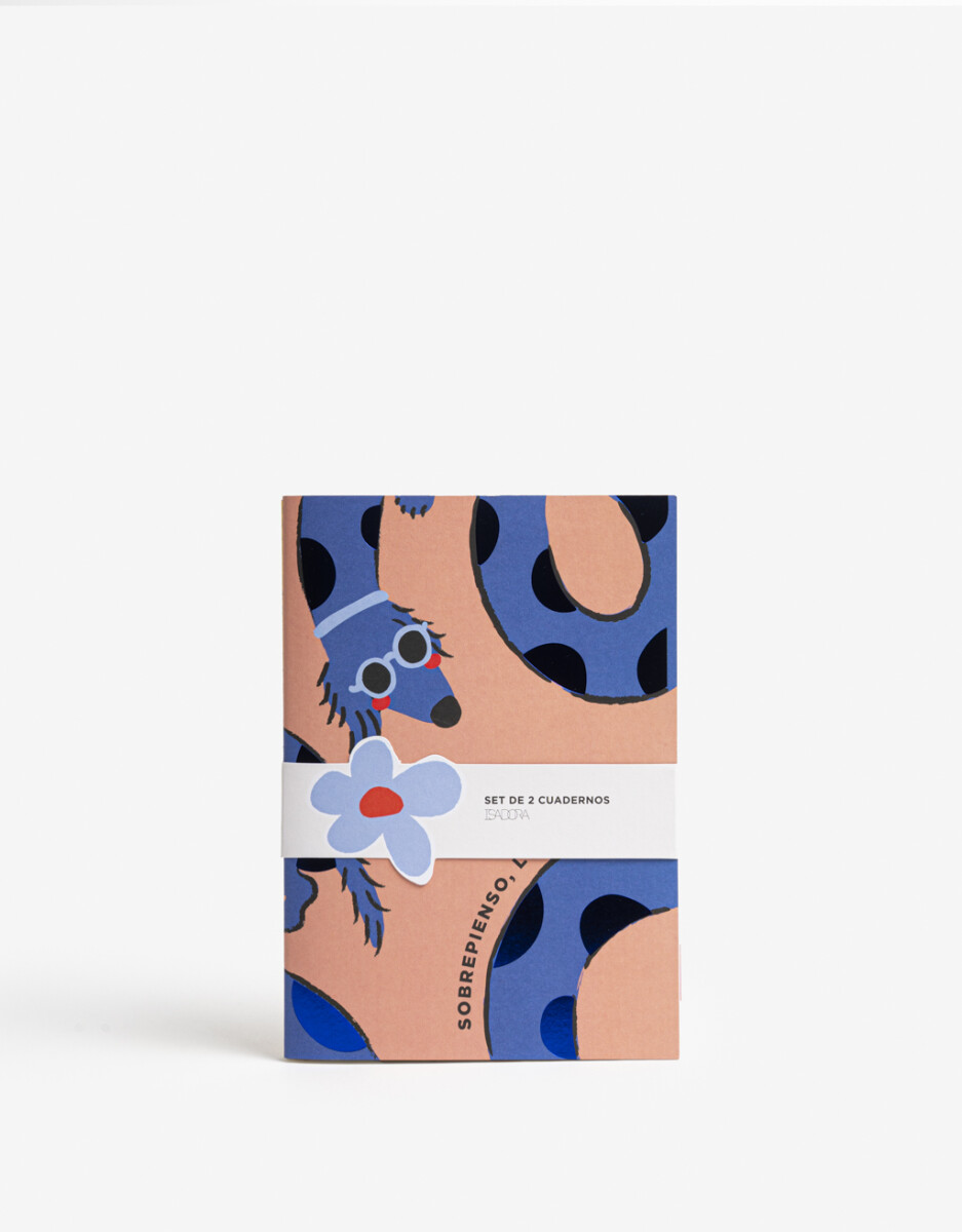 Set De 2 Cuadernos. Contiene Un Cuaderno Rayado Y Uno Cuadriculado De 40 Páginas Cada Uno 