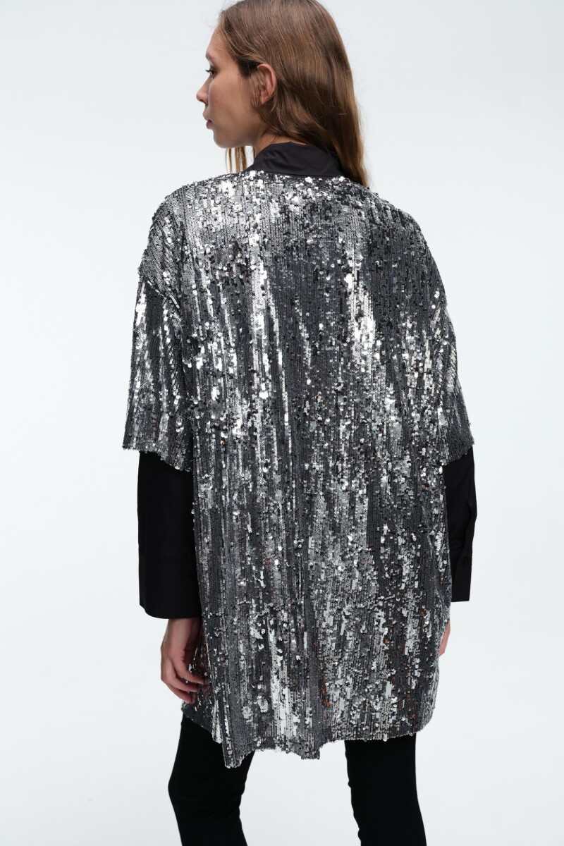 VESTIDO LENTEJUELAS Plata