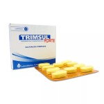TRIMSUL FTE. CJ X 10 COMPRIMIDOS única