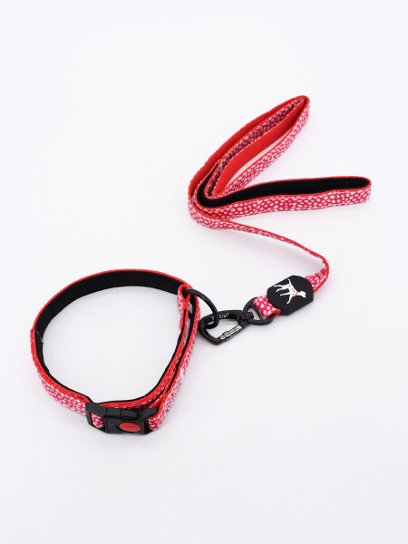 SET COLLAR CON CORREA MULTICOLOR
