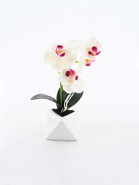 ORQUIDEA ROJO