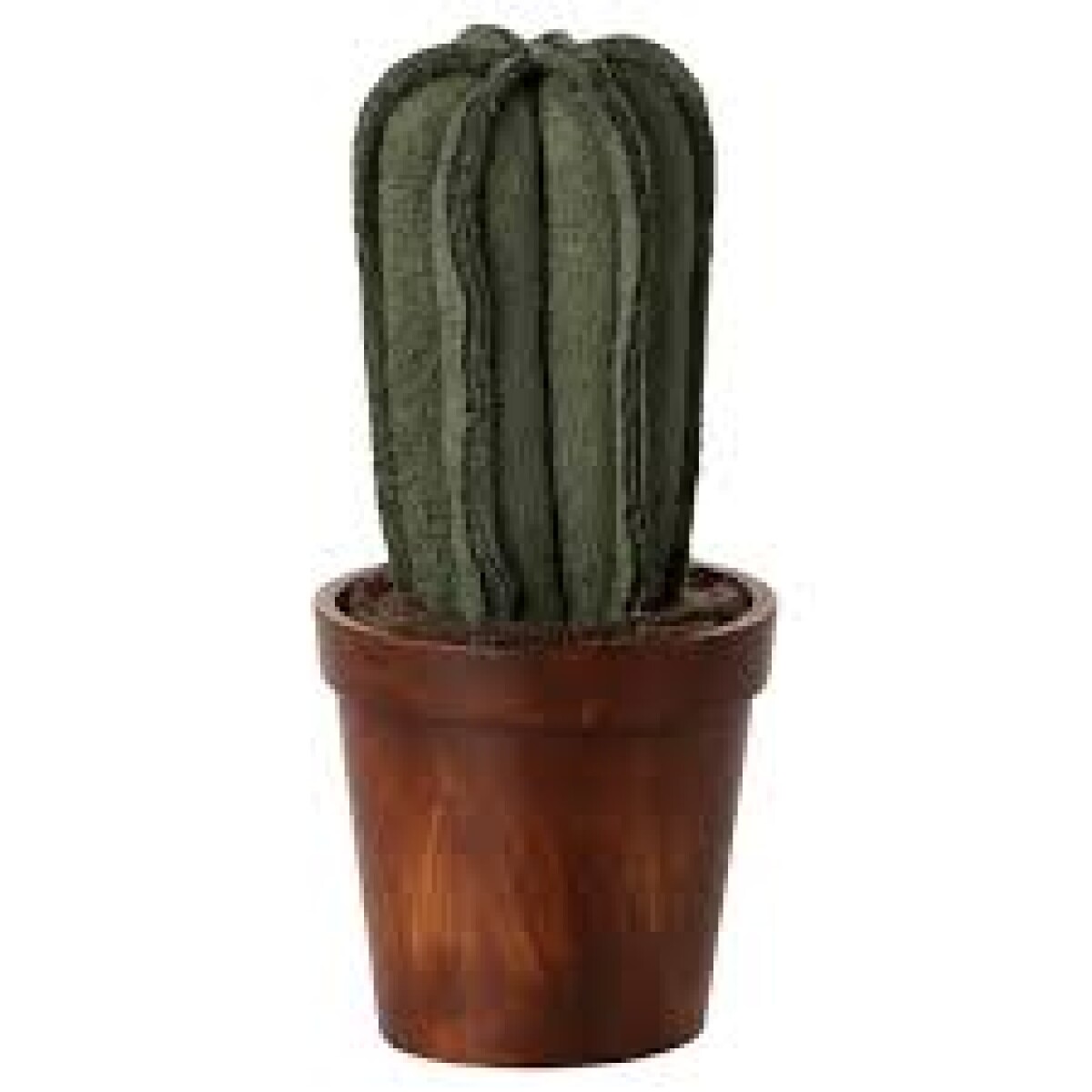 CACTUS Y MACETA 