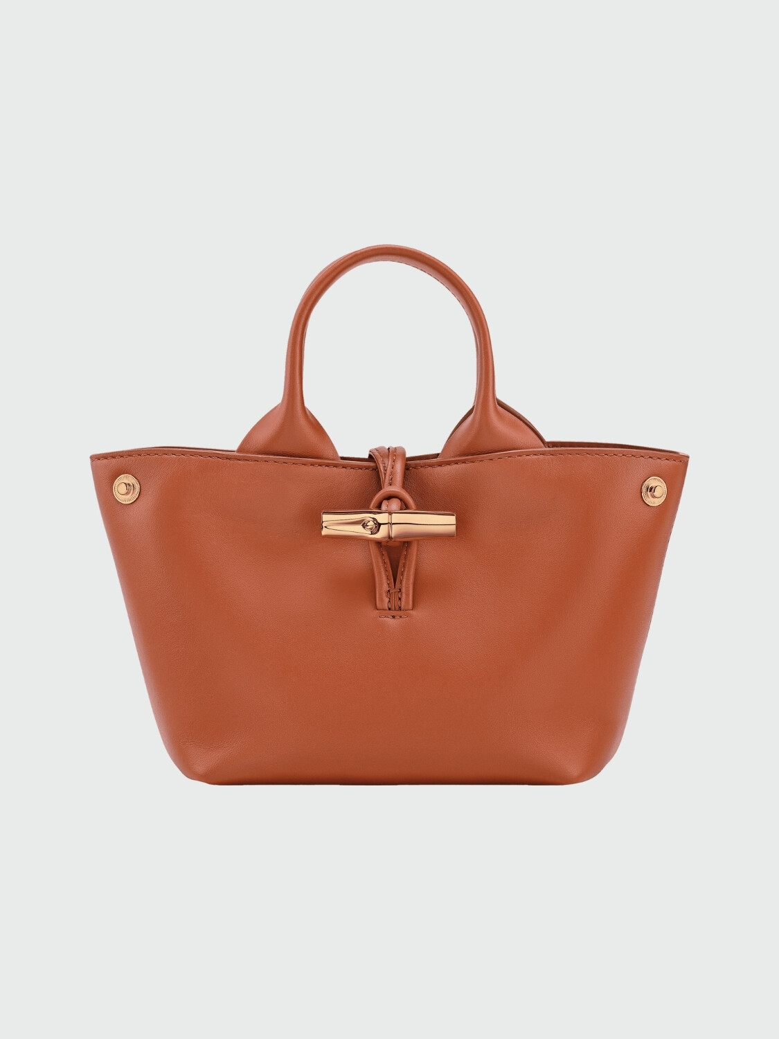 Longchamp -Bolso de cuero, Le Roseau Sleek Terracota