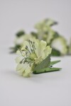 Palillo c/amapola 3x3 cm. VERDE