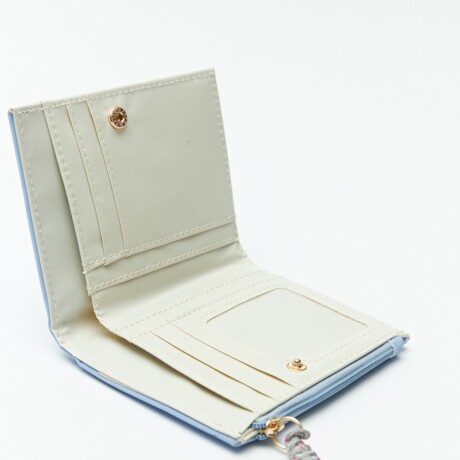 BILLETERA TAYLOR Celeste