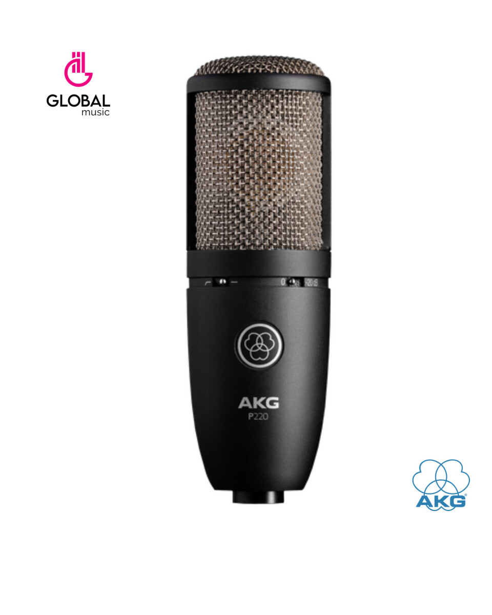 MICROFONO PROFESIONAL AKG P220 CONDENSER 