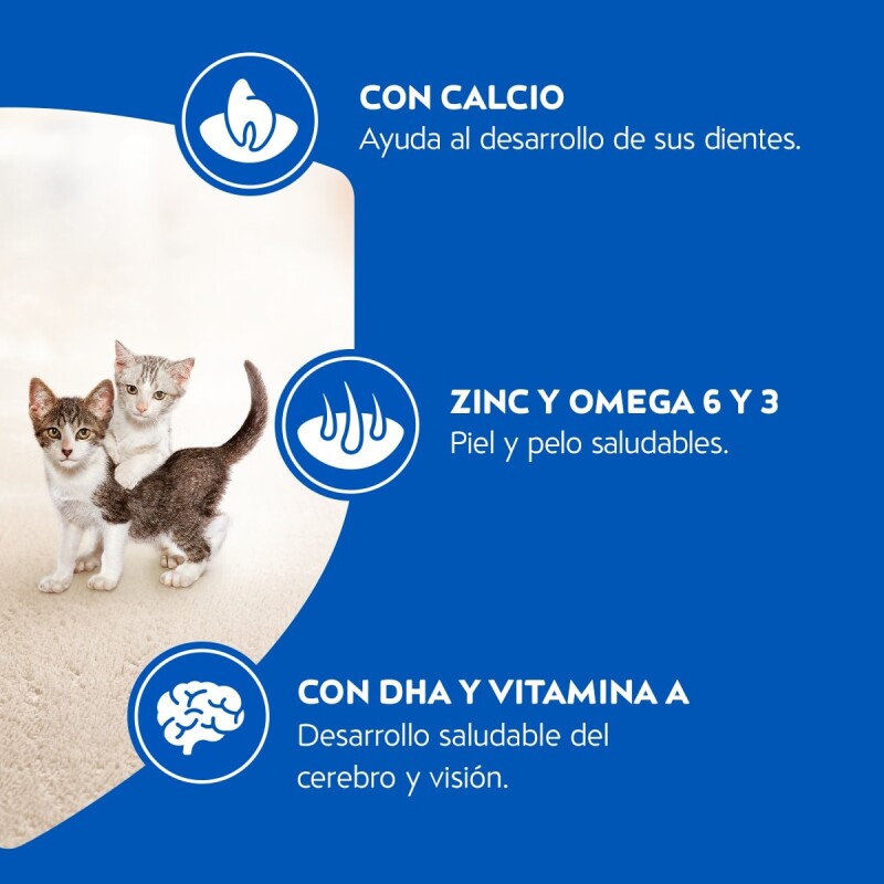 CAT CHOW GATITOS 8 KG