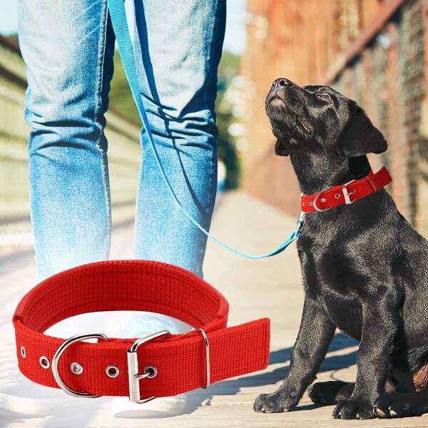 Collar Ajustable Reforzado Hebilla Nylon Perro Gato Mediano Variante Color Rojo