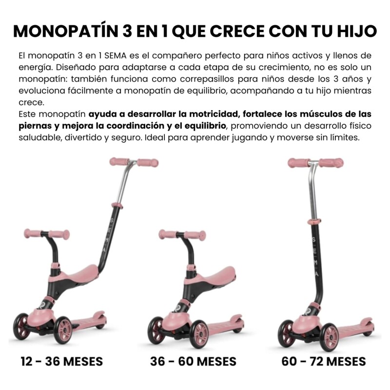 Sema Monopatin 2 en 1 DELUXE Qplay Sema Monopatin 2 en 1 DELUXE Qplay