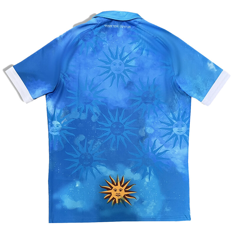 Camiseta Oficial Teros Macron 2024 Azul