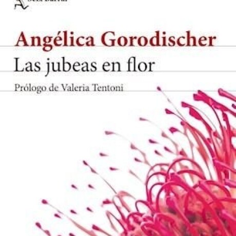 LAS JUBEAS EN FLOR LAS JUBEAS EN FLOR