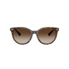 Ralph Lauren 5331u 5003/13
