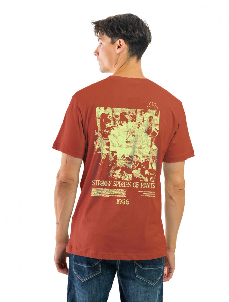Remera Estampada Cuello Base Coral/ Diseño 119