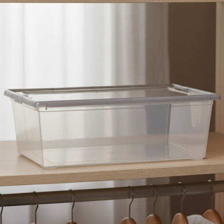 Caja organizadora 6 lts Mybox TRANSPARENTE