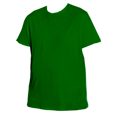 Camiseta Básica Plus Talles Especiales Verde inglés
