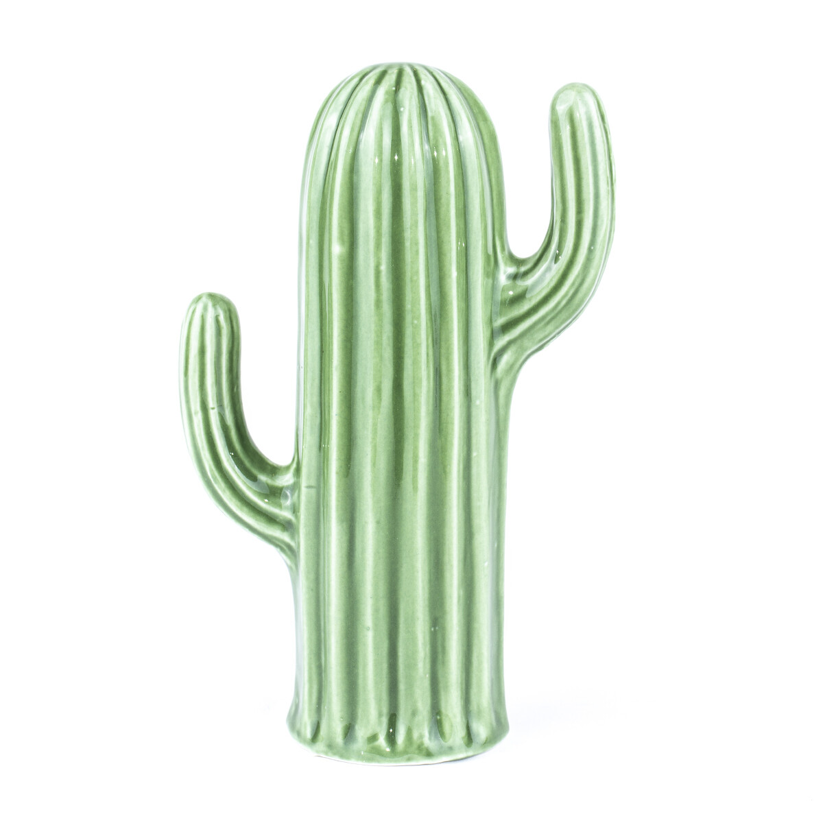Cactus Mexicano En Cerámica 