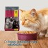 THREE CATS CASTRADOS 15 KILOS