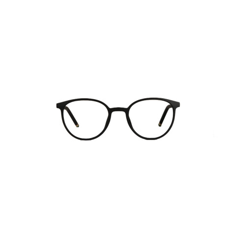 70029 Negro