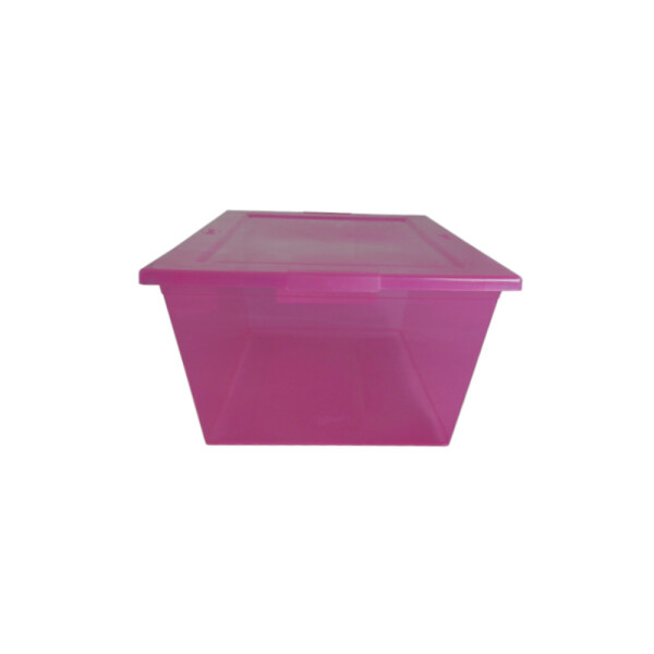 CAJA PLASTICA MYBOX 15 LTS. ROSADO 37X25X20 CM. ROJO
