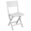 SILLA PLAST PLEGABLE BLANCA Unica