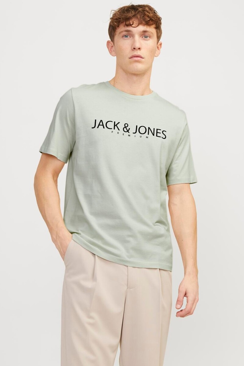 Polera Blajack Logo Estampado Green Tint