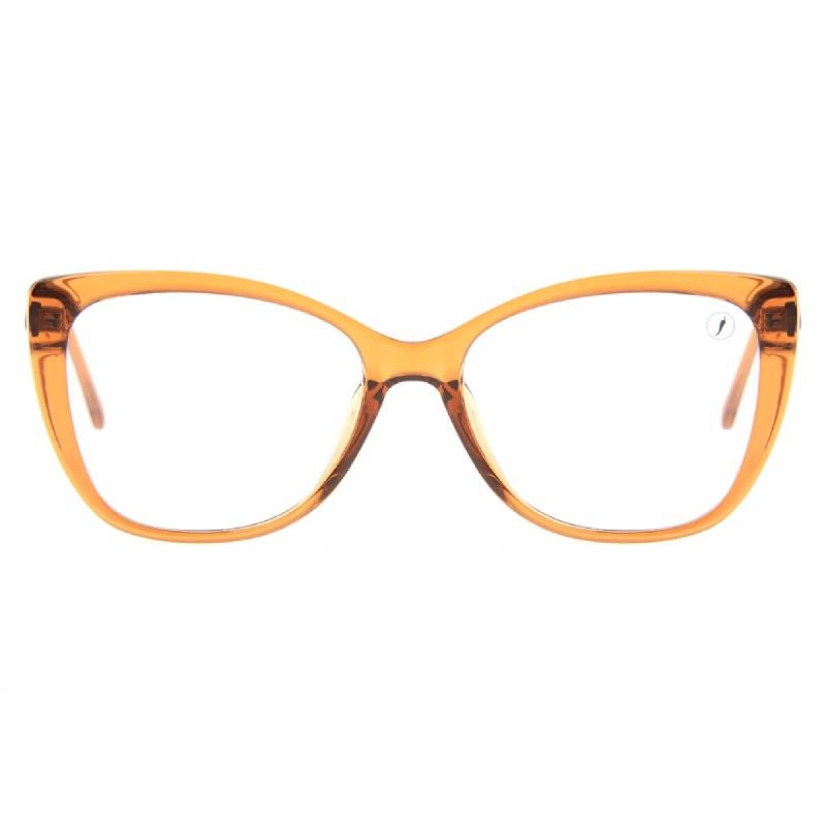 Armazón Chilli Beans Pernambuco - Marrón 