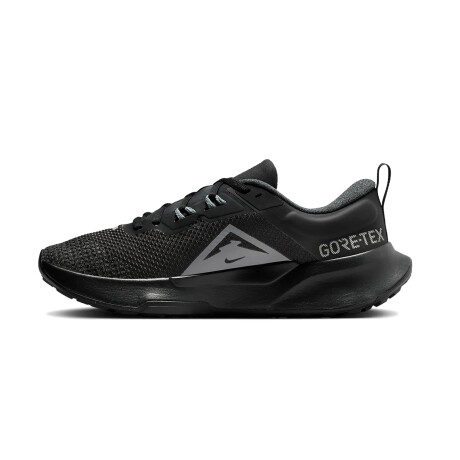 Championes Nike Juniper Trail 2 Gore-Tex Black