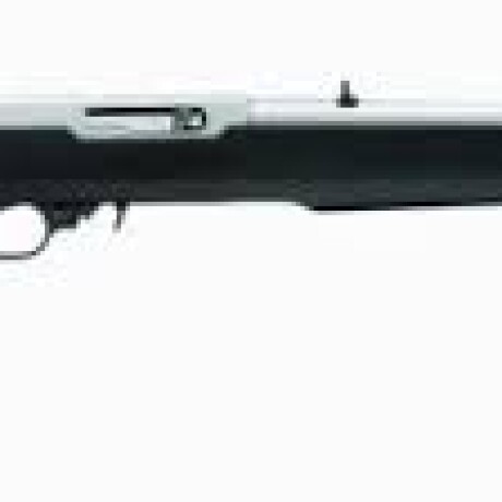 RIFLE RUGER CAL 22LR MOD 10/22 INOX/POLIMERO RIFLE RUGER CAL 22LR MOD 10/22 INOX/POLIMERO