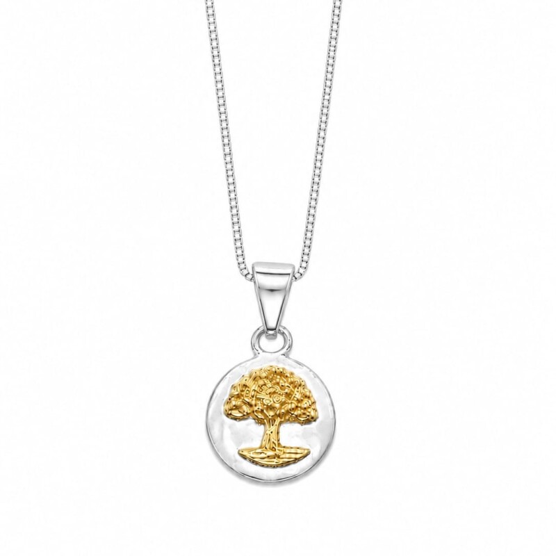 Conjunto cadena y medalla árbol de la vida Conjunto cadena y medalla árbol de la vida