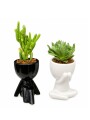 LITTLE PEOPLE CON SUCULENTA NEGRO