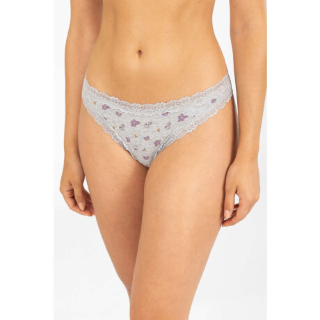 Colaless flower stripe Gris