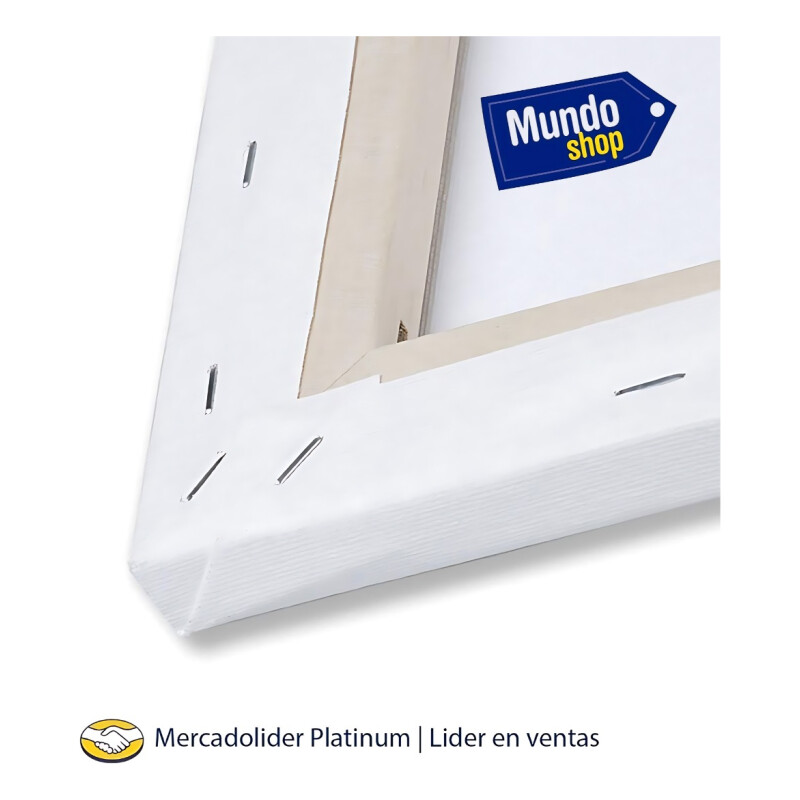 Pack X 5 Lienzo Bastidor 40x50m Cuadro Pintura Oleo Blanco Blanco