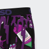 Calzoncillos PSD Purp Wock Multicolor