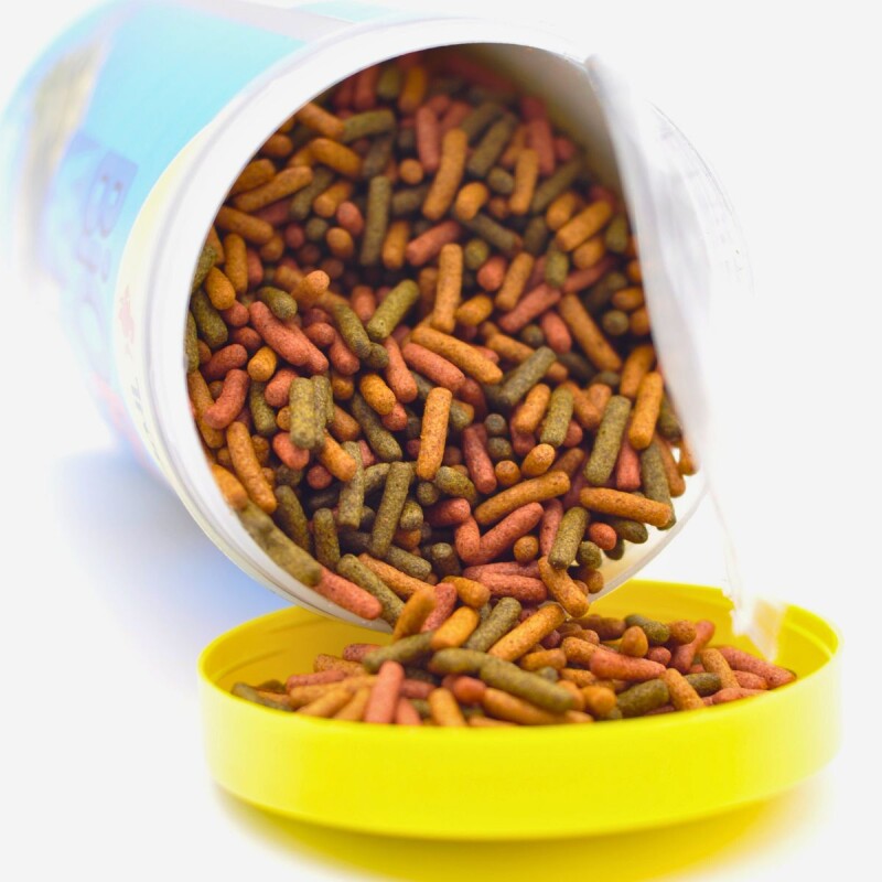 ALIMENTO PARA TORTUGAS ACUÁTICAS Y SEMIACUÁTICAS BIOREPT 30GR ALIMENTO PARA TORTUGAS ACUÁTICAS Y SEMIACUÁTICAS BIOREPT 30GR